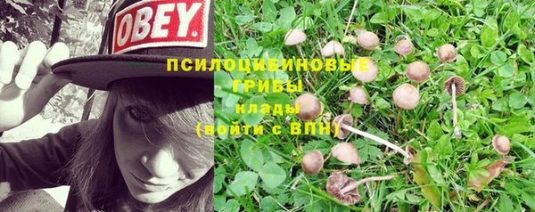 твердый Белокуриха